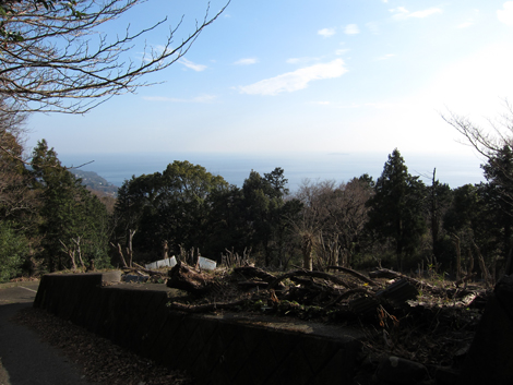 20200122hike (236)